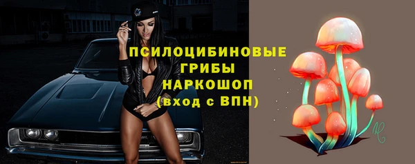 PSILOCYBIN Алзамай