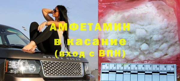 PSILOCYBIN Алзамай