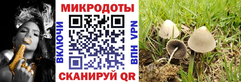 Галлюциногенные грибы мухоморы Полярные Зори