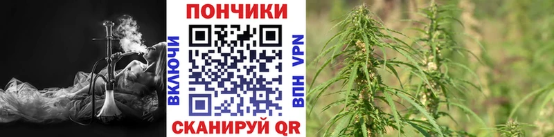 Каннабис тримм  продажа наркотиков  Полярные Зори 